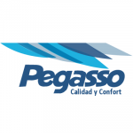 pegasso